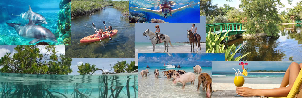 Bahamas Shuttle Boat Bahamas Fast Ferry Day Trip 954-969-0069 only $129